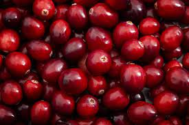 The Cranberries are Coming!