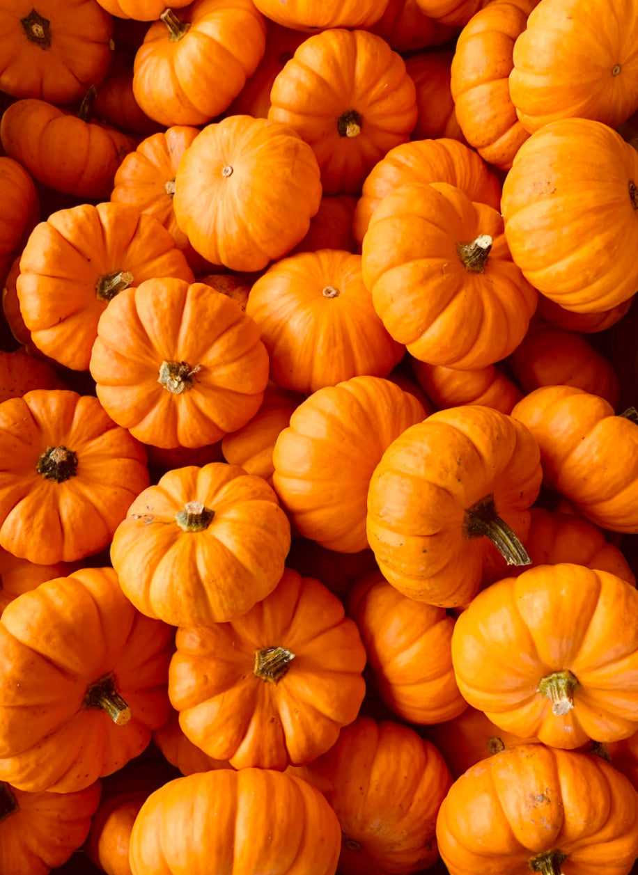 Pumped for Pumpkin!