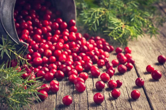 NEW Cranberry Offerings!