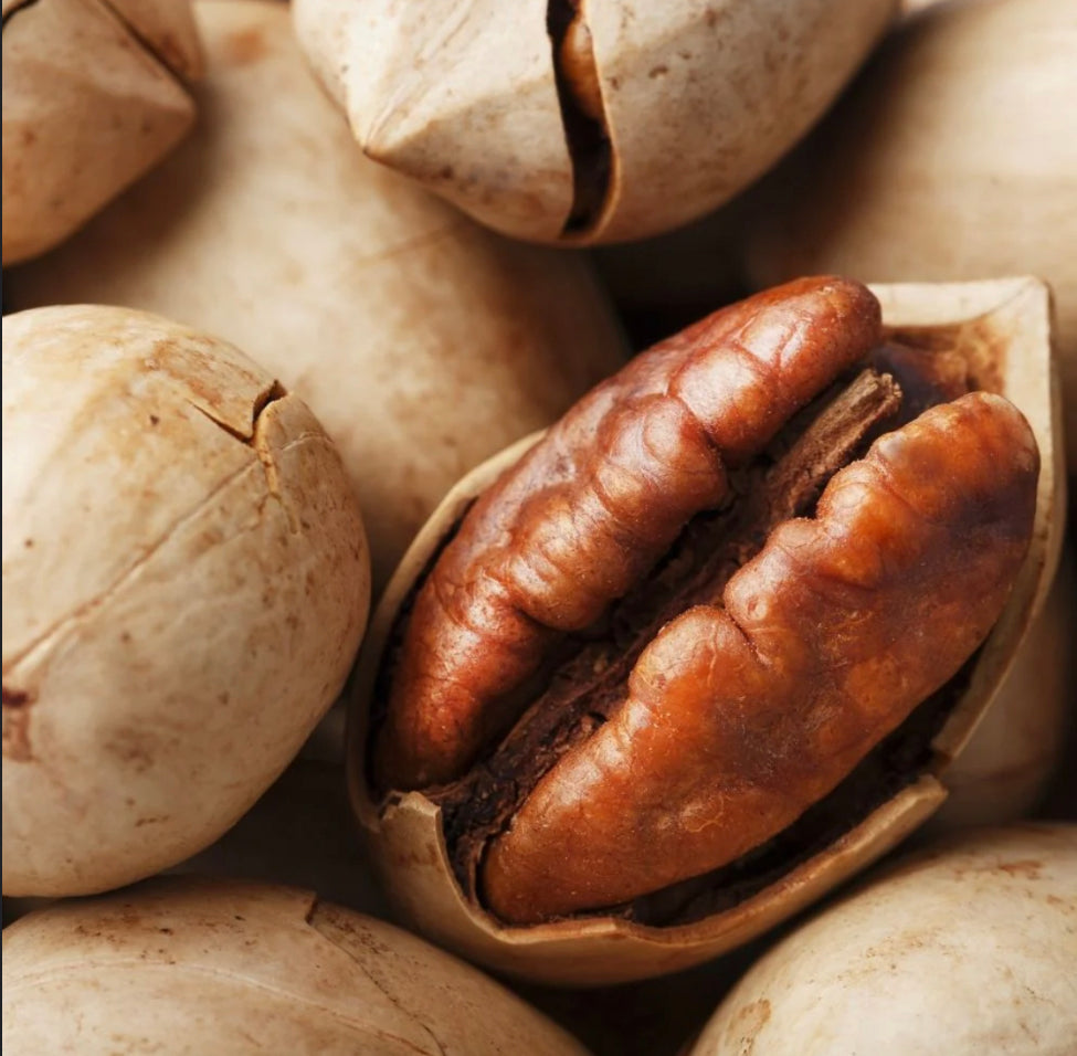 Pecans Galore!